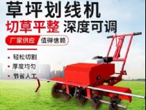 点击查看详细信息<br>标题：草皮划线机 阅读次数：2759